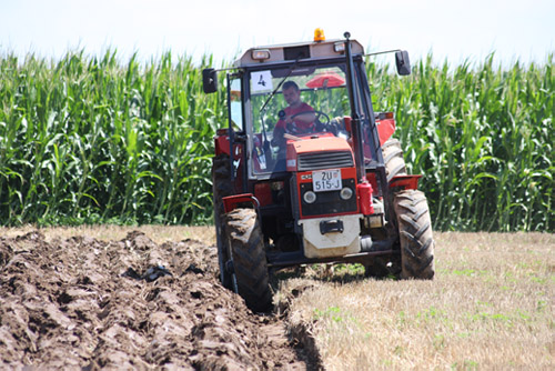 13. natjecanje orača Požeško-slavonske županije